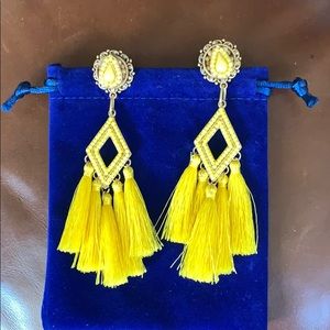 Beautiful earrings with tassels.